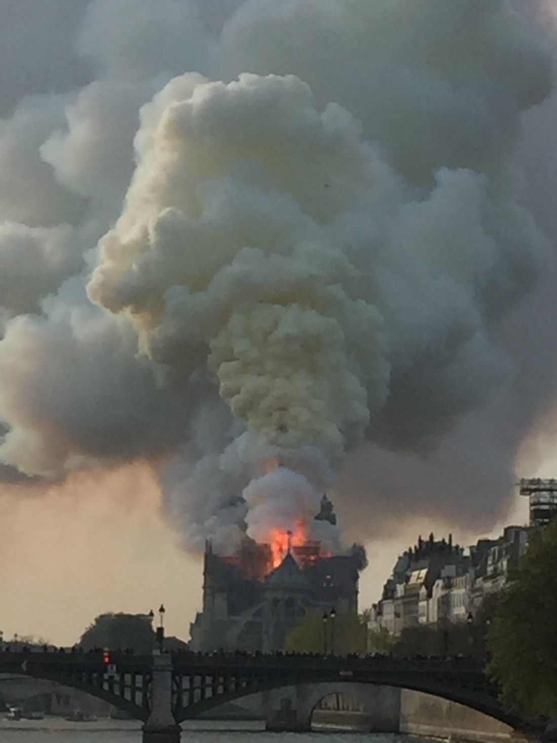 DF4B1659-992B-48D6-B1DD-BDAB666ACF55